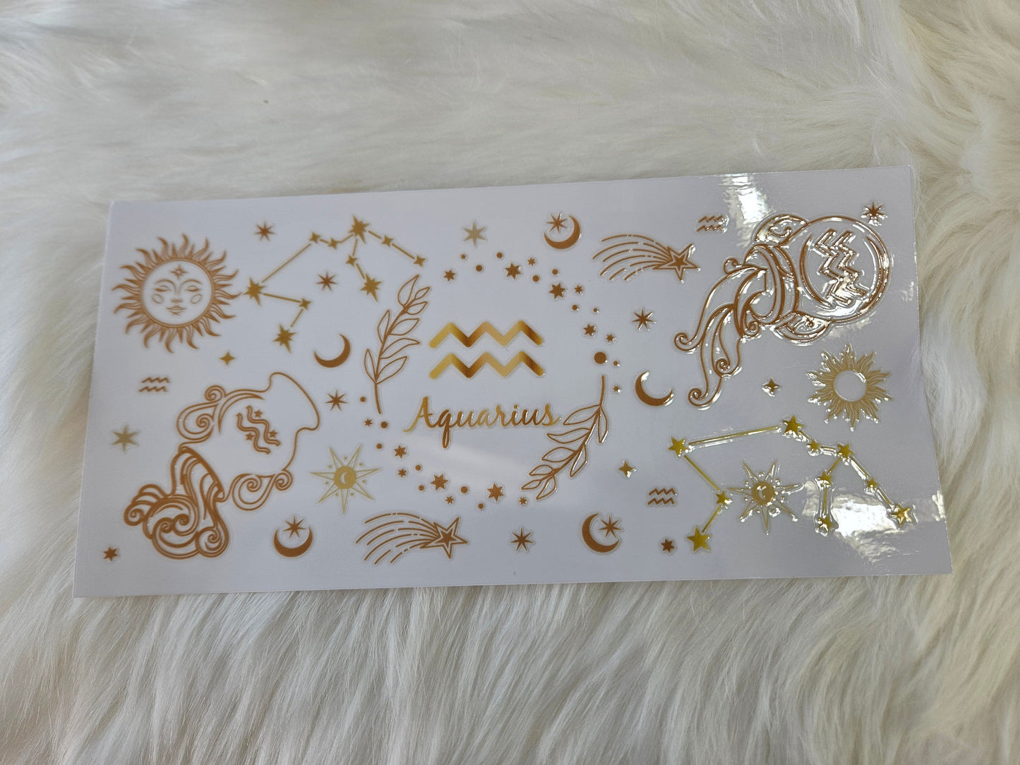 Aquarius