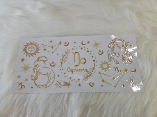 Capricorn